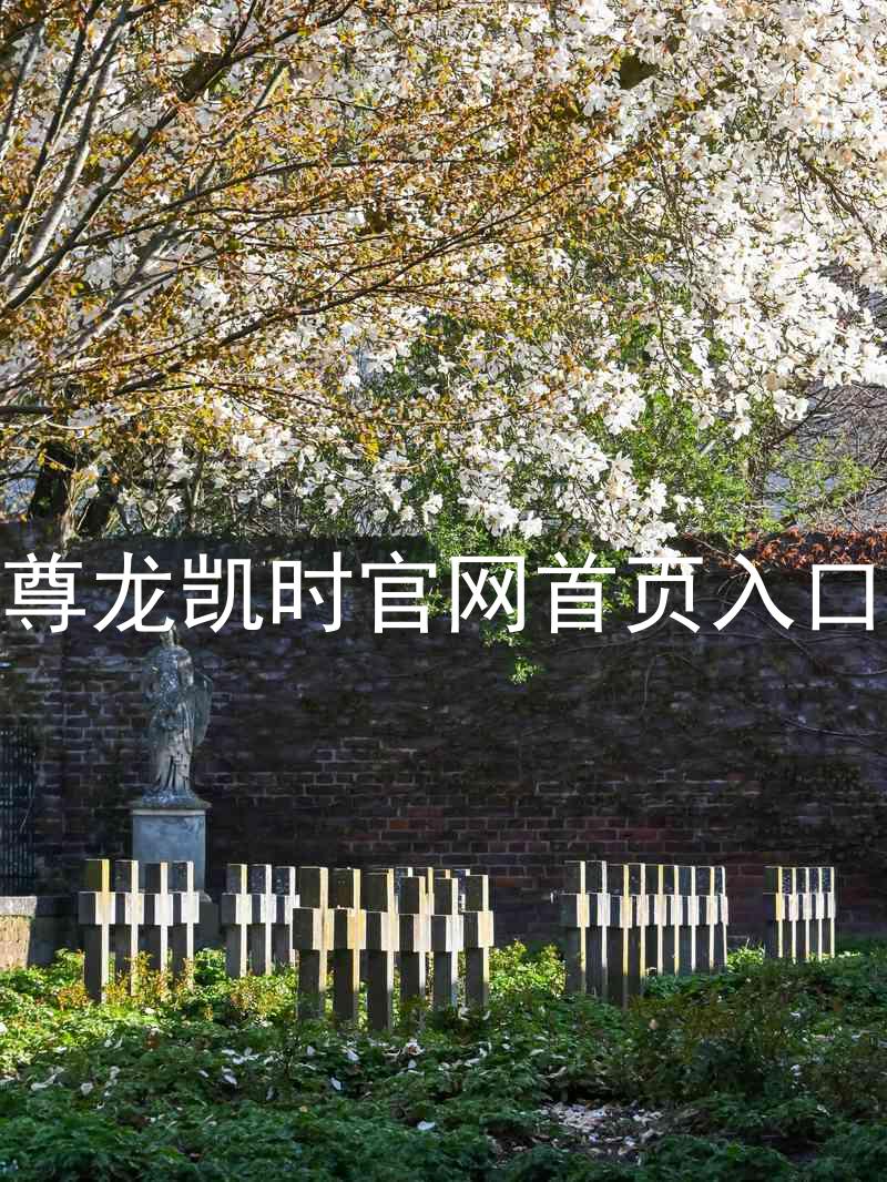 尊龙凯时官网首页入口
