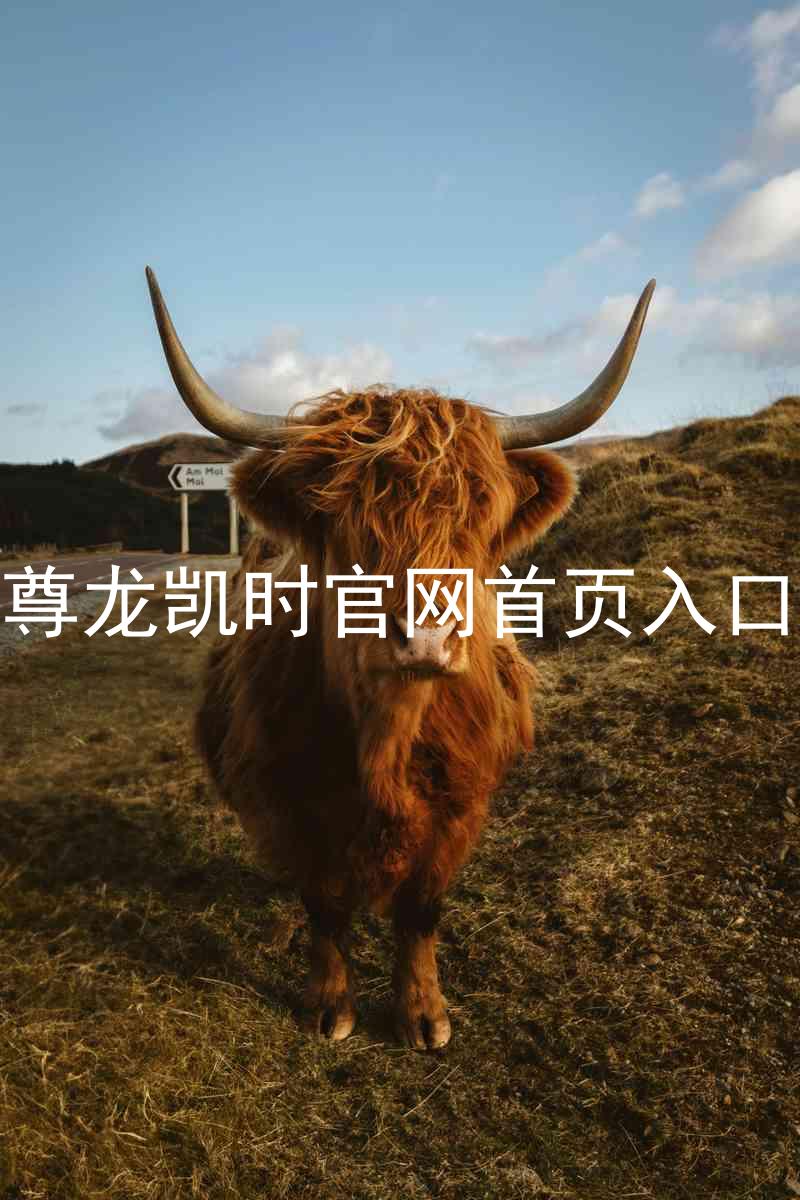 尊龙凯时官网首页入口